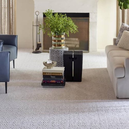 Living Room Pattern Carpet - Alsea Bay Granite Interiors in Waldport, OR